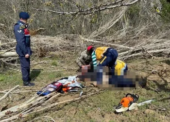 Kesilen ağacın altında kalarak hayatını kaybetti