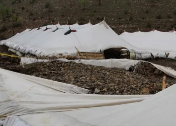 Sel 205 hayvanı telef etti