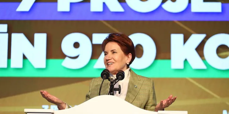 “Çılgın projelerin yapılma nedeni harama el uzatmak”