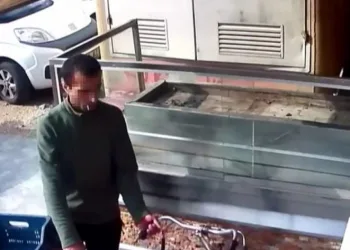 Kürdanlı hırsız