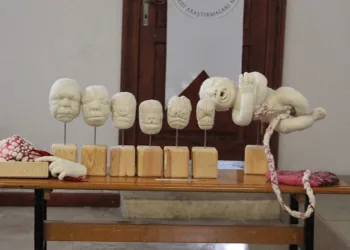 Keçe, moda dünyasında yükseliyor