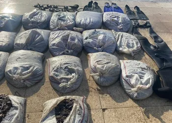 Sahil Güvenlik’ten deniz patlıcanı operasyonu