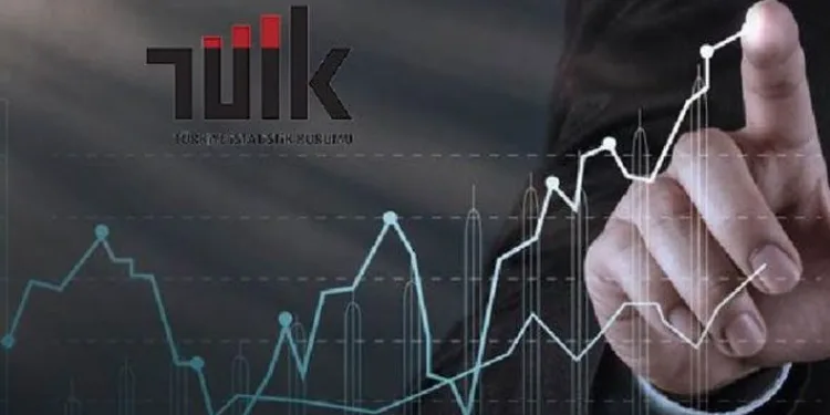 Uluslararası Göç İstatistikleri