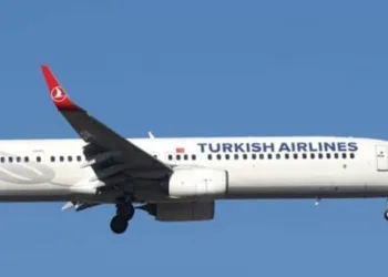 Motoruna kuş çarpınca acil iniş yaptı