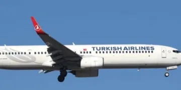 Motoruna kuş çarpınca acil iniş yaptı