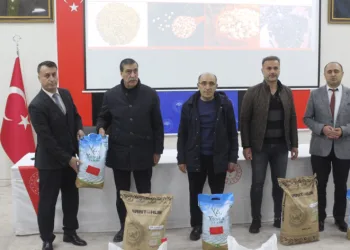 Muş’ta çiftçiye tohum desteği verildi