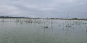 Kaçak avcıların kasnaklarına el konuldu