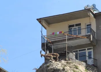 HÜRJET ilk uçuşunu gerçekleştirdi