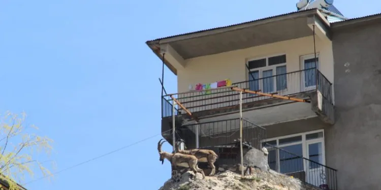 HÜRJET ilk uçuşunu gerçekleştirdi