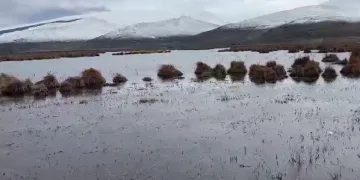 Çıldır Gölü sazlık alandaki su seviyesi arttı