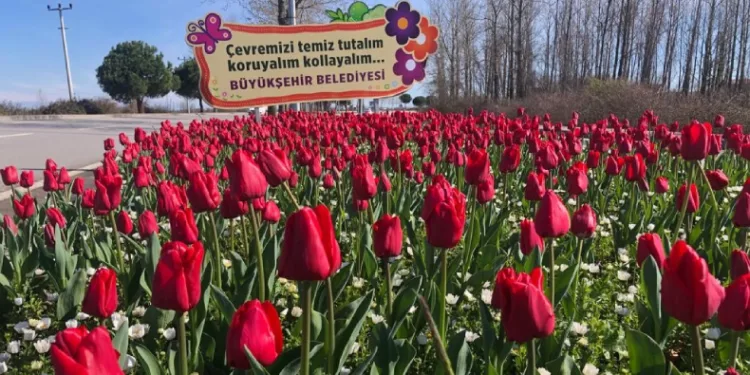 Samsun’un refüjleri kadınların elinde güzelleşiyor
