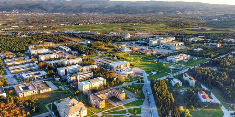 En iyi akademisyenler başarı sırlarını paylaştı