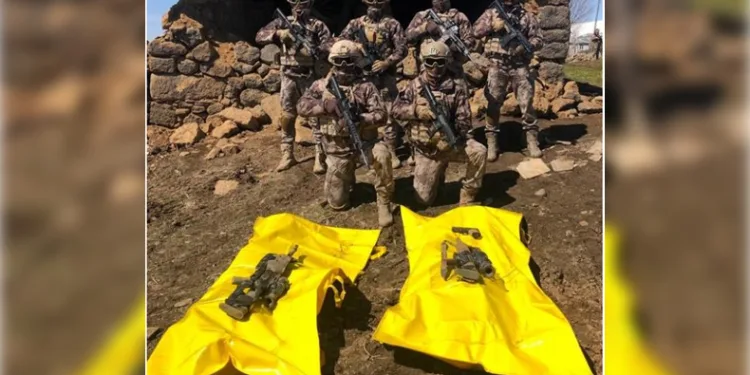 Van’da 2 terörist etkisiz hale getirildi
