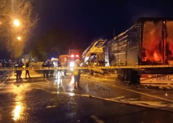 Bariyerlere çarptı, yanarak can verdi