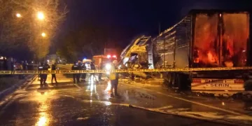 Bariyerlere çarptı, yanarak can verdi