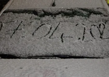 Kar süprizi