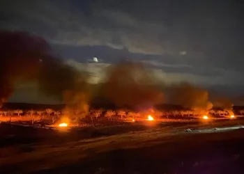 Don olayına karşı ağaçlarını ateş yakarak korudular