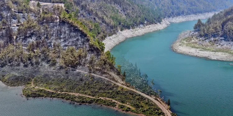En büyük yangından sonra griden yeşile dönüş