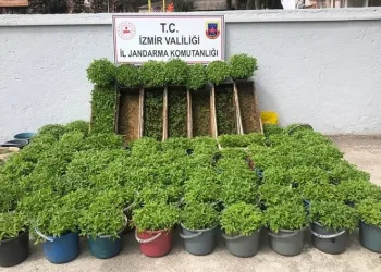 Saksı ve arı kovanlarına uyuşturucu madde ekti