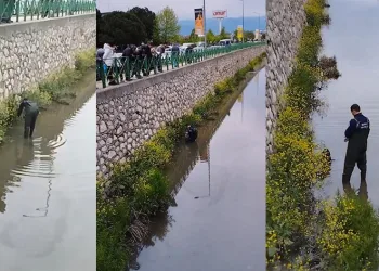 Dereye düşen köpeğin imdadına itfaiye yetişti