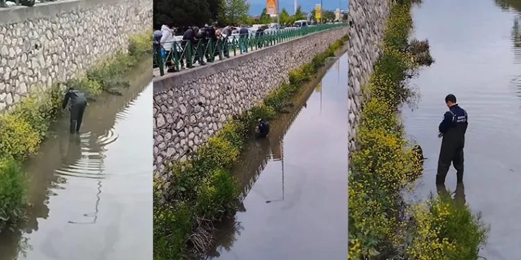 Dereye düşen köpeğin imdadına itfaiye yetişti