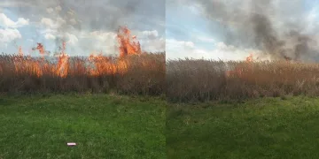 Sazlık alanlarda yangın