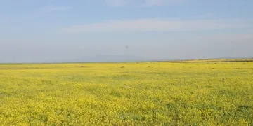 Doğa renk cümbüşüne döndü