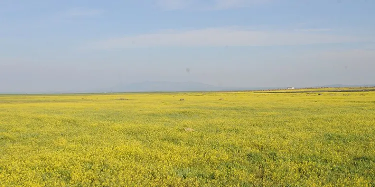 Doğa renk cümbüşüne döndü