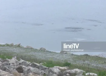 İklim krizi büyüyor