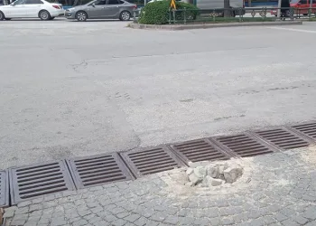 Sokaktaki lobut sökülü halde bulundu