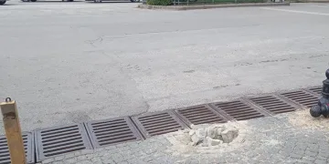 Sokaktaki lobut sökülü halde bulundu