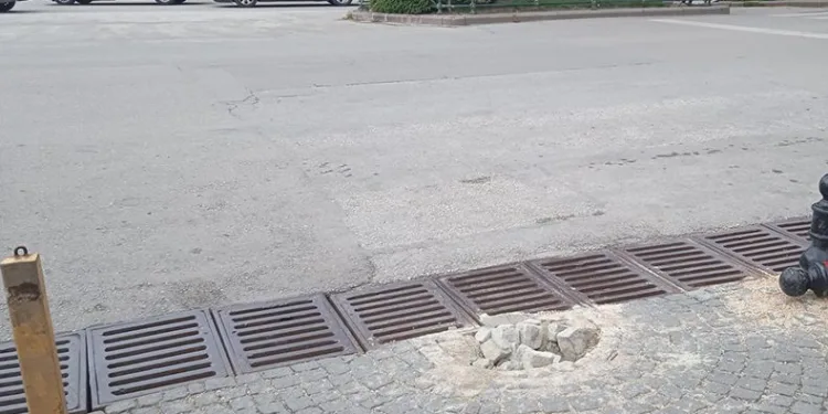 Sokaktaki lobut sökülü halde bulundu