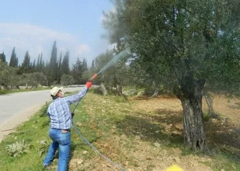 Leke hastalığı ile mücadele başladı