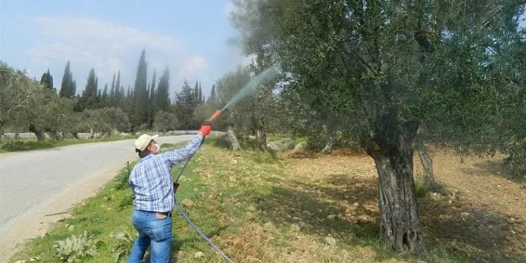 Leke hastalığı ile mücadele başladı