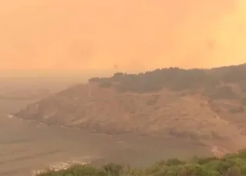 Fransa sınırında orman yangını