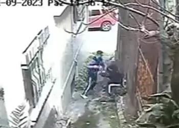 Havlayan köpek hırsızı yakalattı