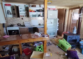 Dev ayı yaylada girilmedik ev bırakmadı