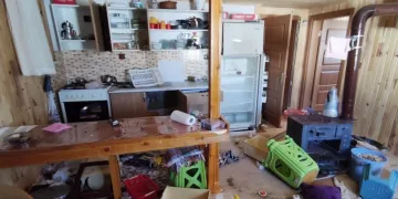 Dev ayı yaylada girilmedik ev bırakmadı
