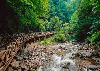 Avrupa’da bulamadığı şifayı Oylat’ta buldu