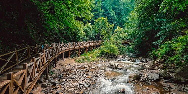 Avrupa’da bulamadığı şifayı Oylat’ta buldu