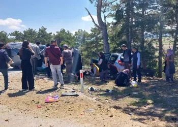 Otomobil yol kenarında duran otomobile çarptı