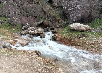 Kuruyan su kaynağından depremden sonra su çıktı