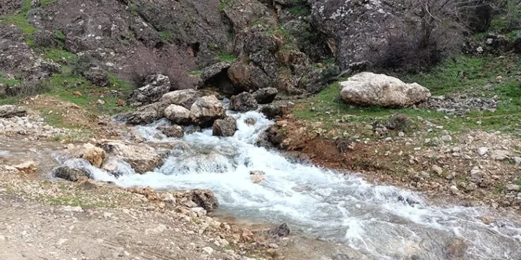 Kuruyan su kaynağından depremden sonra su çıktı