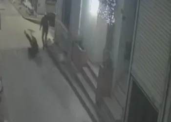 Babasına küfreden şahsı bıçakladı