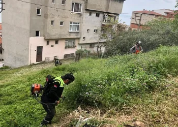 Gemlik’te bahar mesaisi