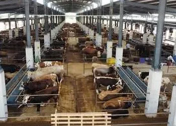 İnegöl Hayvan Pazarı Kotra ihale tarihi