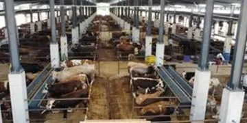 İnegöl Hayvan Pazarı Kotra ihale tarihi