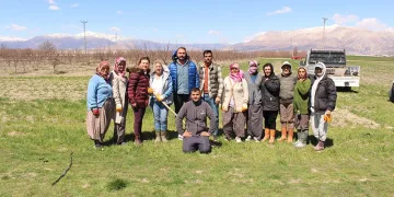 Antep fıstığı fidanları toprakla buluştu