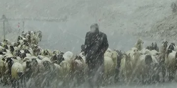 Kar yağdı, çobanlar zor anlar yaşadı