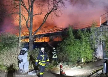 Polonya’da hayvanat bahçesinde yangın